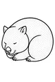 Free Wombat Coloring Page - Sleepy Wombat Curled in a Ball (Printable PDF)