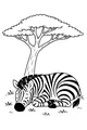 Free Zebra Coloring Page - Sleeping Under Acacia Tree Shade (Printable PDF)