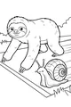 Free Sloth Coloring Page - Slowpoke Race With Snail in the Park (Printable PDF)