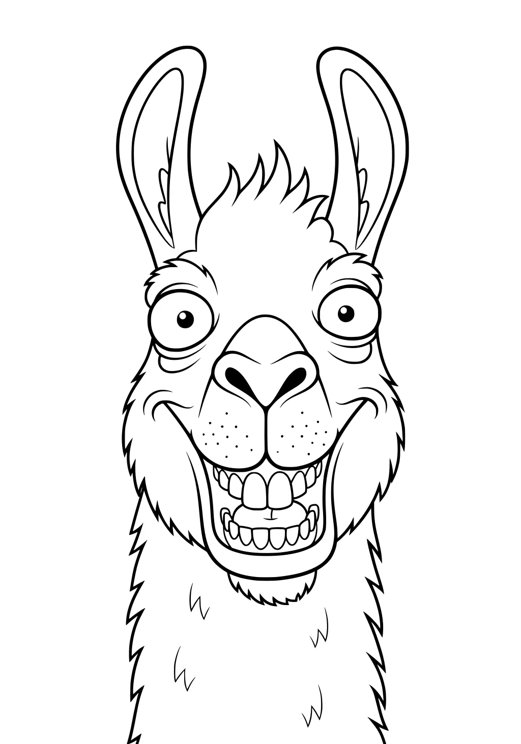 Female llama facing forward, wide eyes, big open grin, large upright ears, and fluffy outlined fur.