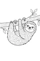 Free Sloth Coloring Page - Smiling Sloth Hanging From Jungle Tree (Printable PDF)