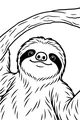 Free Sloth Coloring Page - Smiling Sloth on Tree Branch (Printable PDF)