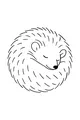 Free Hedgehog Coloring Page - Sleeping Hedgehog Curled in a Ball (Printable PDF)
