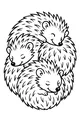 Free Hedgehog Coloring Page - Three Sleepy Hedgehogs Snuggled in a Circle (Printable PDF)
