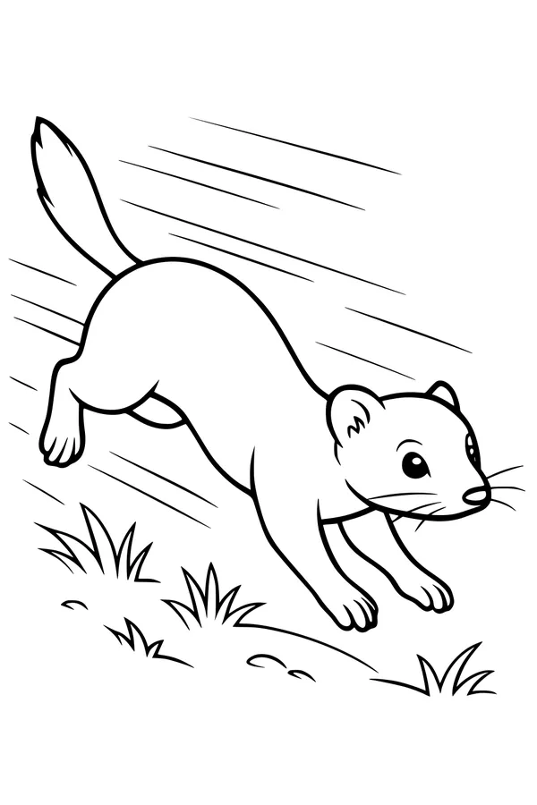 Free Weasel Coloring Page - Fast Running Weasel in Meadow (Printable PDF)
