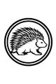 Free Porcupine Coloring Page - Prickly Quills in Concentric Circles (Printable PDF)