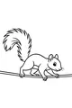 Free Squirrel Coloring Page - Sammy Balancing on a Narrow Branch (Printable PDF)