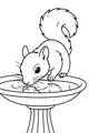 Free Squirrel Coloring Page - Thirsty Garden Visitor at Birdbath (Printable PDF)