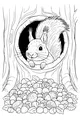Free Squirrel Coloring Page - Peeking From Tree Hollow (Printable PDF)