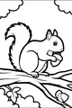 Free Squirrel Coloring Page - Bushy-Tailed Nut Picnic on a Tree Branch (Printable PDF)
