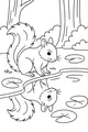 Free Squirrel Coloring Page - Woodland Pond Reflection Scene (Printable PDF)