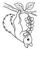 Free Squirrel Coloring Page - Upside Down Berry Snack (Printable PDF)