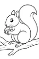 Free Squirrel Coloring Page - Fluffy Tail With Acorn Snack (Printable PDF)