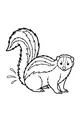 Free Skunk Coloring Page - Fluffy Tail and Funny Spray (Printable PDF)