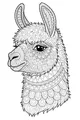 Free Llama Coloring Page - Swirly Patterned Portrait (Printable PDF)