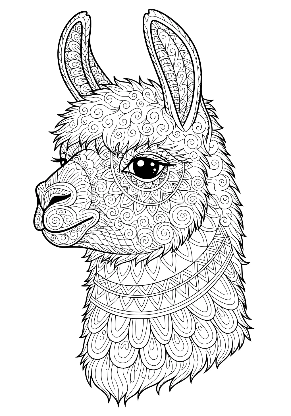 Llama with large eyes and detailed swirling patterns covering her head, ears, and neck in a hand-drawn style.