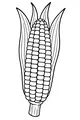 Free Corn Coloring Page - Harvest Ear With Husks Pulled Back (Printable PDF)