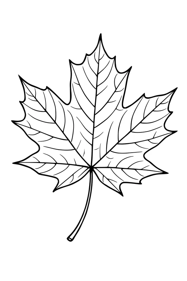Free Maple Leaf Coloring Page - Simple Harvest Outline (Printable PDF)