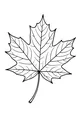 Free Maple Leaf Coloring Page - Simple Harvest Outline (Printable PDF)
