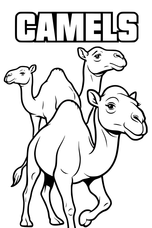 Free Camel Coloring Page - Three Desert Camels in a Row (Printable PDF)
