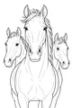 Free Horse Coloring Page - Three Horses Side by Side (Printable PDF)