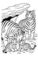 Free Tiger Family Coloring Page - Cozy Nap Under the Rock (Printable PDF)