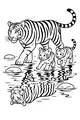Free Tiger Coloring Page - Mother Tiger And Cubs In Stream (Printable PDF)