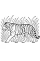 Free Tiger Coloring Page - Stripey Tiger in Tall Jungle Grass (Printable PDF)