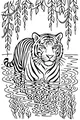 Free Tiger Coloring Page - Jungle Pool Break Scene (Printable PDF)