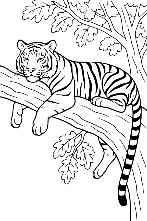 Free Tiger Coloring Page - Big Cat Napping in a Jungle Tree (Printable PDF)