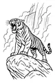 Free Tiger Coloring Page - Roaring Big Cat by the Waterfall (Printable PDF)