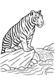 Free Tiger Coloring Page - Striped Tiger by the River (Printable PDF)