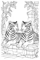 Free Tiger Coloring Page - Twin Tigers on Ancient Jungle Ruins (Printable PDF)