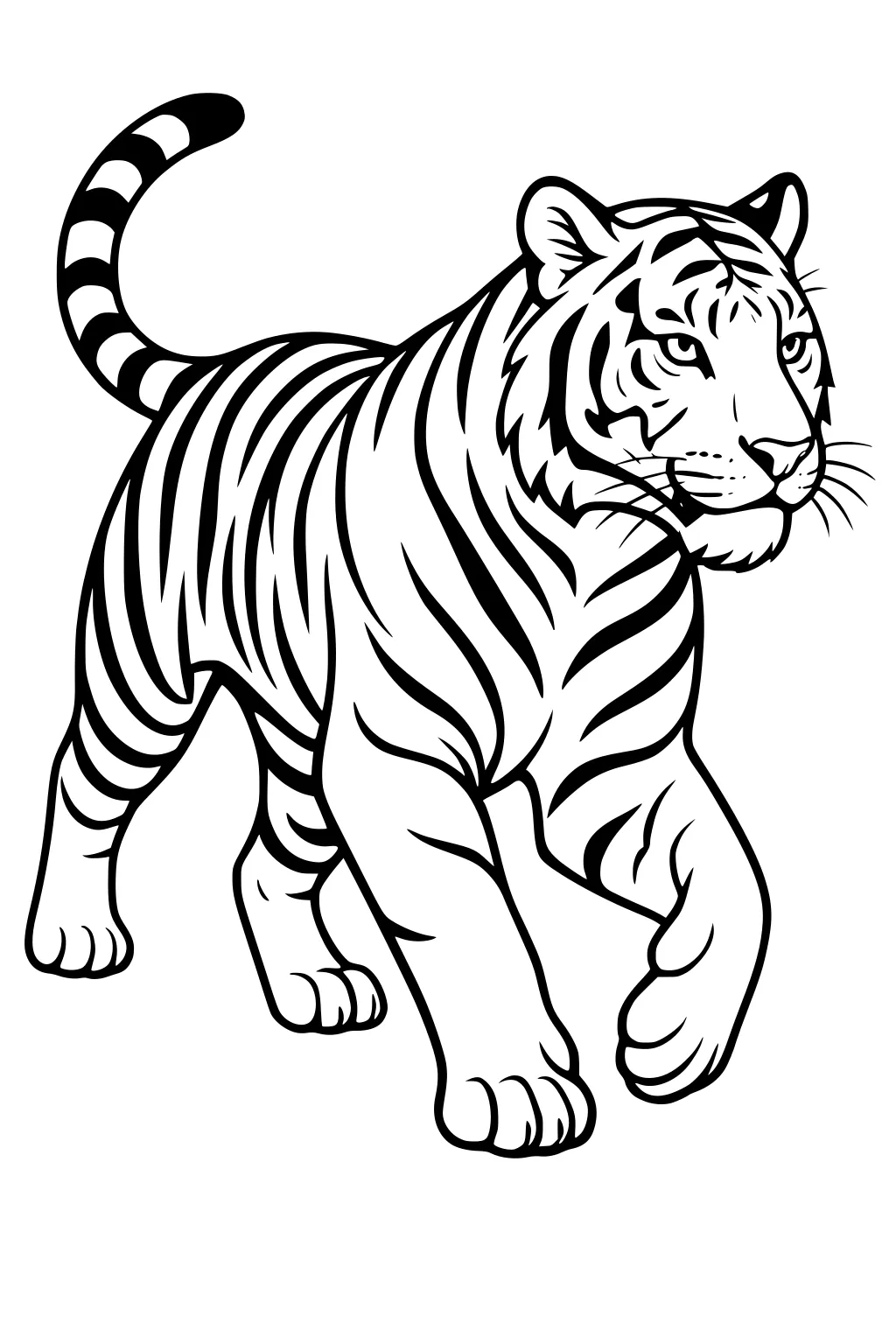 Tiger with detailed stripes, walking forward with tail curled and one paw raised, looking ahead, upright ears, isolated background.