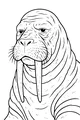 Free Walrus Coloring Page - Gentle Giant With Long Tusks (Printable PDF)