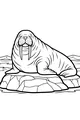 Free Walrus Coloring Page - Tusky Walrus on Icy Rock (Printable PDF)