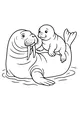 Free Walrus Coloring Page - Parent And Baby In Shallow Water (Printable PDF)