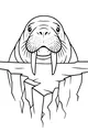 Free Walrus Coloring Page - Sir Whiskers on Cracked Arctic Ice (Printable PDF)