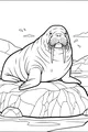 Free Walrus Coloring Page - Grand Walrus on Rocky Arctic Shore (Printable PDF)
