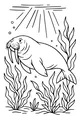 Free Walrus Coloring Page - Underwater Swim With Sunlight and Seaweed (Printable PDF)