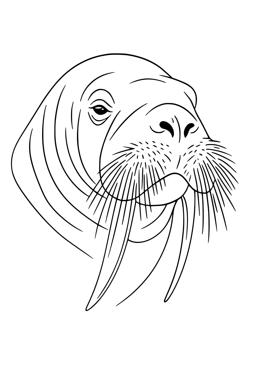 Walrus head with two long tusks, thick mustache, wrinkled skin, and small eyes, facing forward.