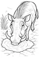 Free Warthog Coloring Page - Thirsty Warthog at Muddy Waterhole (Printable PDF)