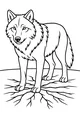 Free Wolf Coloring Page - Watchful Wolf on Cracked Ground (Printable PDF)