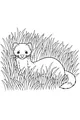 Free Weasel Coloring Page - Whiskered Weasel in Tall Grass (Printable PDF)