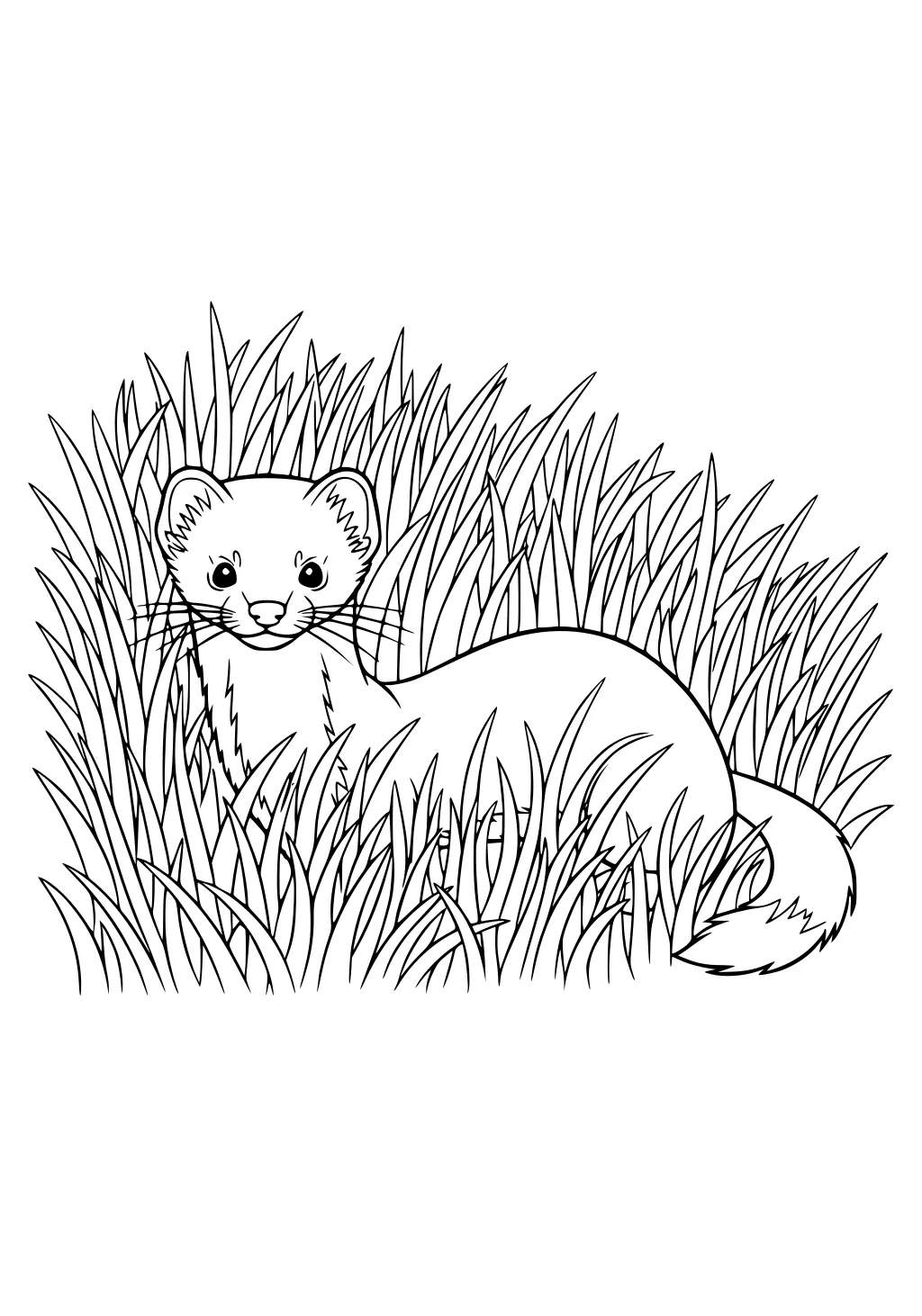 Smiling weasel with whiskers standing in tall grass with alert ears, long tail, and big eyes.