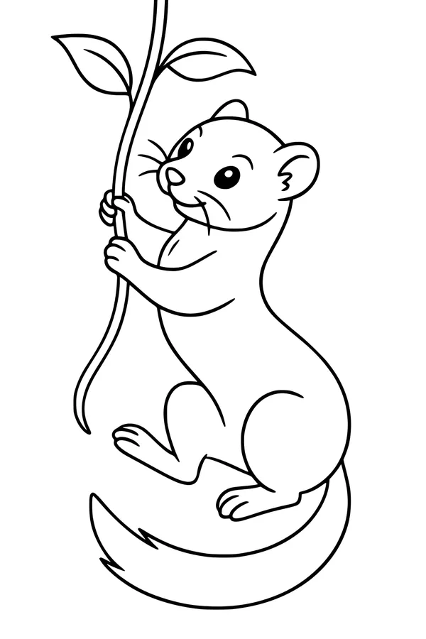 Free Weasel Coloring Page - Playful Weasel on Leafy Vine (Printable PDF)
