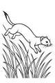 Free Weasel Coloring Page - Jumping Through Tall Grass (Printable PDF)