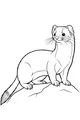 Free Weasel Coloring Page - Alert Weasel Standing on a Rock (Printable PDF)