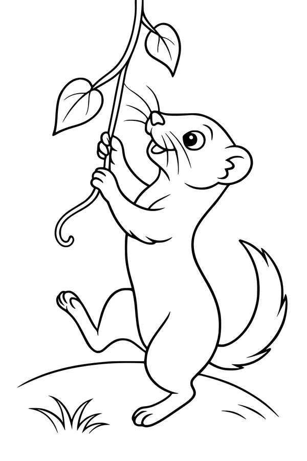 Free Weasel Coloring Page - Cartoon Weasel With Leafy Vine (Printable PDF)