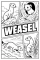 Free Weasel Coloring Page - Four Wild Weasels in Nature (Printable PDF)